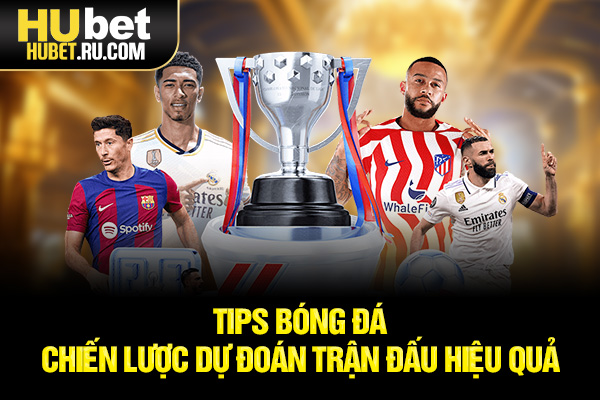 tips bóng đá